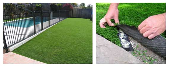 lawn for swimming pools